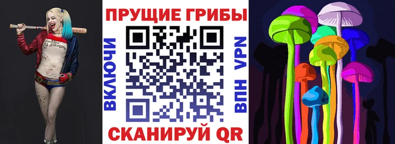 дарнет шоп  Маркс  Псилоцибиновые грибы Psilocybe 